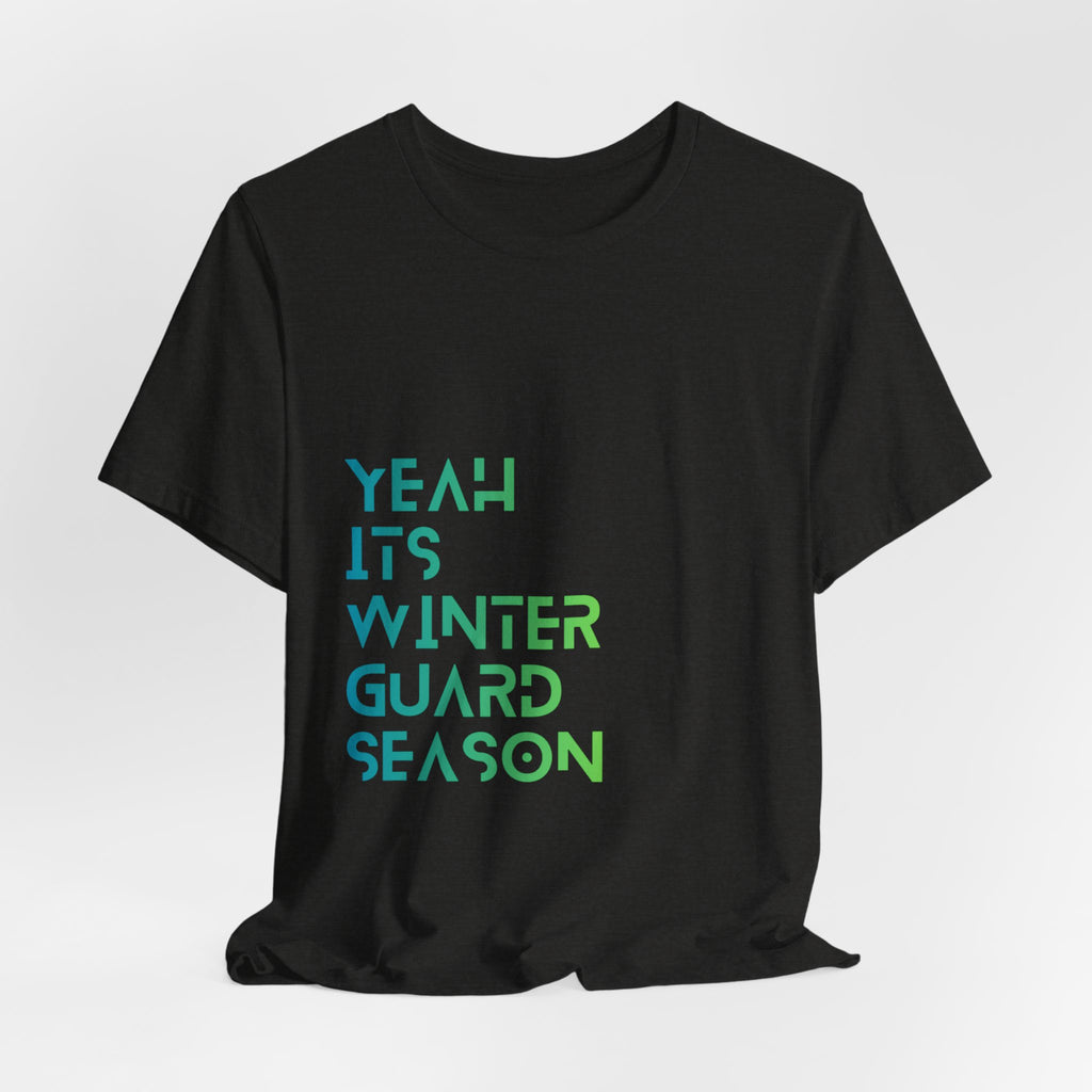 ITs winter guard season - color