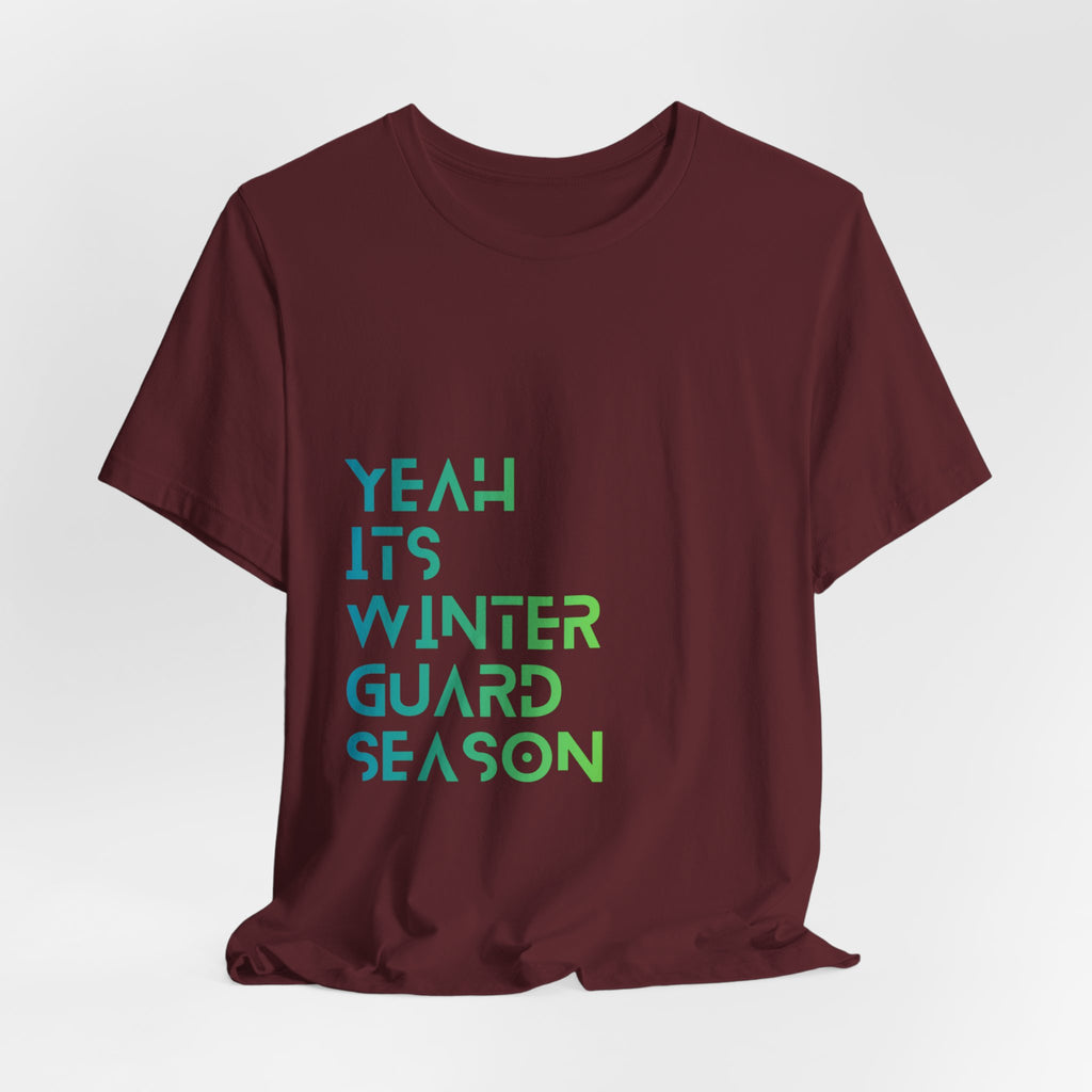 ITs winter guard season - color
